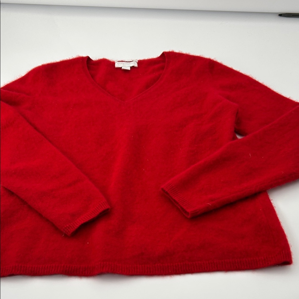 Charter Club Red V-Neck Sweater